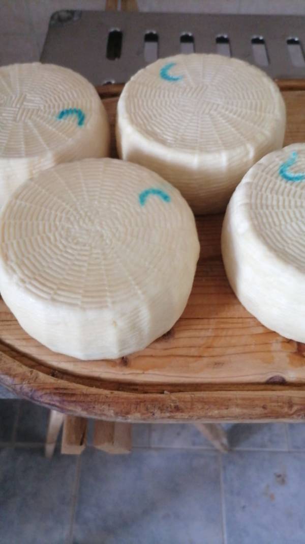 Formaggio di Capra
